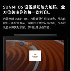 商米（sunmi）D2splus收银机一体机零售超市便利店烟酒药店餐饮点菜收款机扫码收款会员管理系统 双大屏（4+64G）扫码枪+钱箱